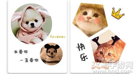 宠物Cam app最新版