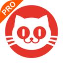 猫眼专业版实时票房app