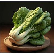 老谭酸菜tv盒子