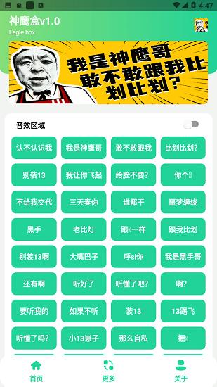 神鹰盒语音包