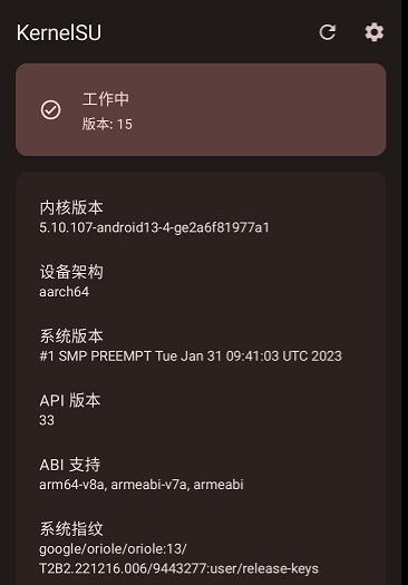KernelSU app KernelSU app