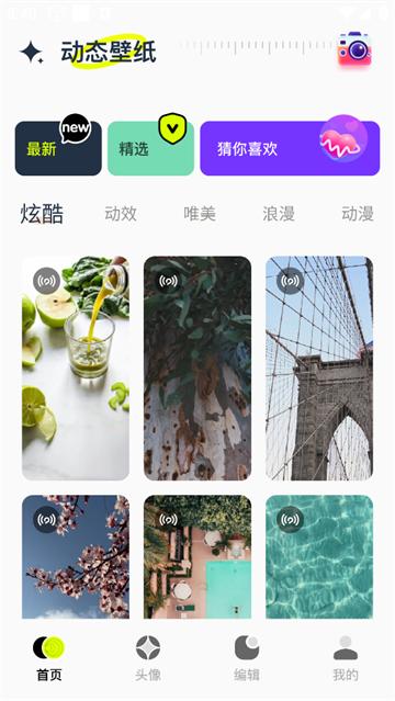 手机动态壁纸大全官方版