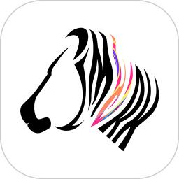 斑马中国数字藏品app