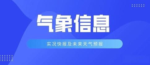 实况天气预报免费版下载十五天
