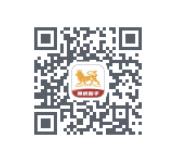 狮桥助手app官方下载