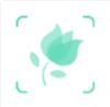 形色识别花草app