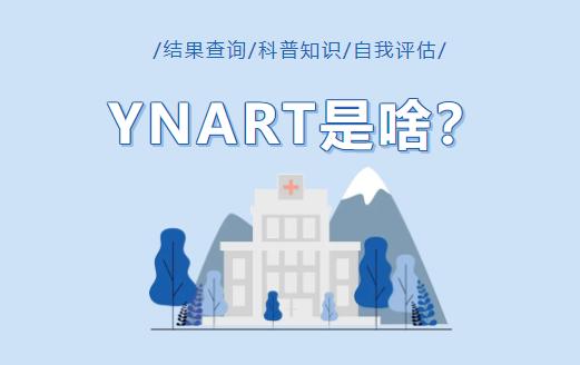 ynart app ynart app