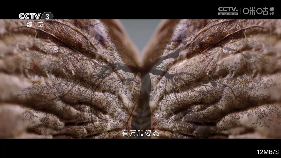 影旅TV盒子电视版下载截图2