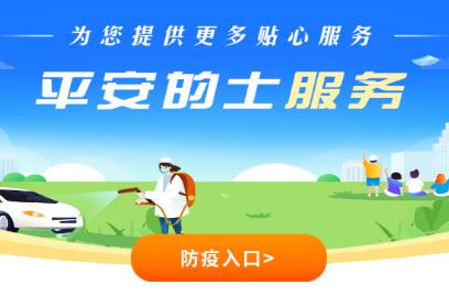 杭州平安的士app下载