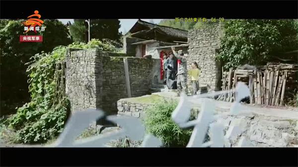 彩旗鸟影视TV版