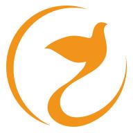 喜鹊喜报pro官方