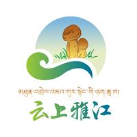 云上雅江app下载