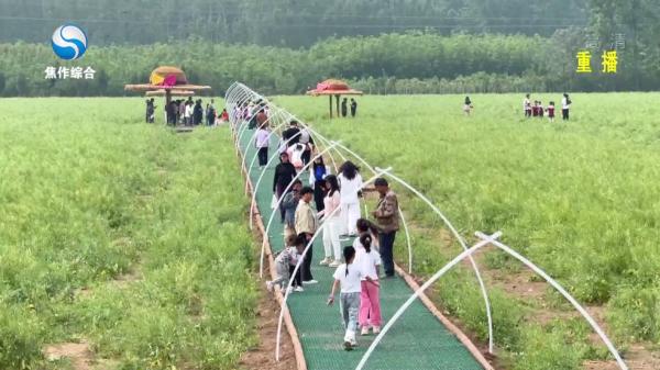 云雾TV电视安卓版