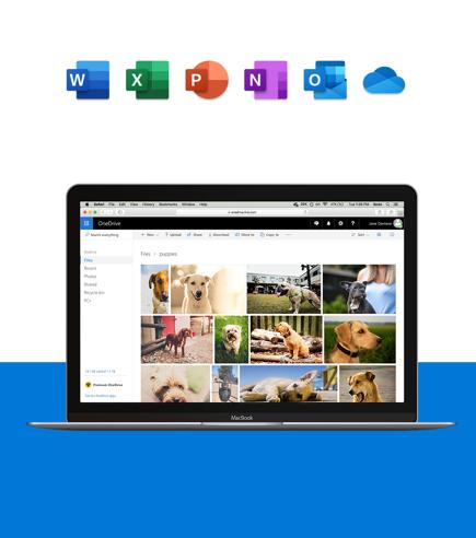OneDrive安卓版下载