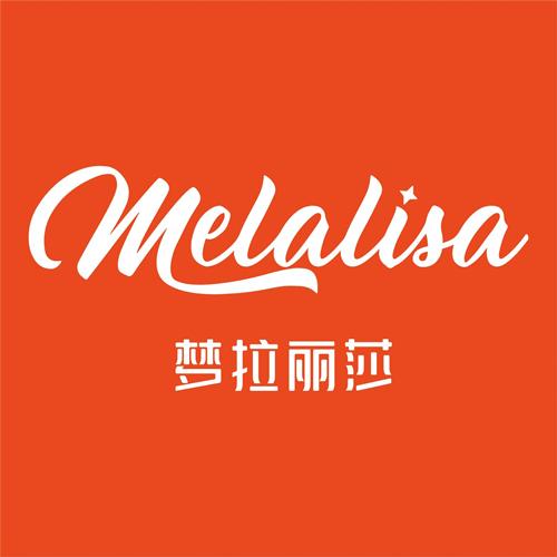 南方智行手机版下载安装