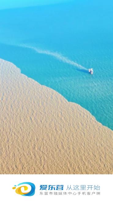 爱东营手机客户端