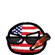 波兰球桌宠 美国