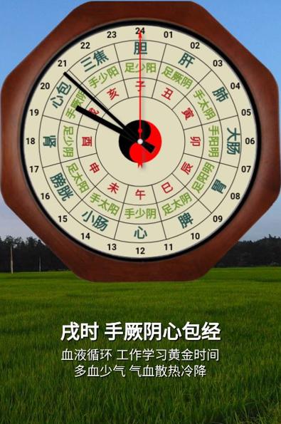 小猴经络时钟app 小猴经络时钟app