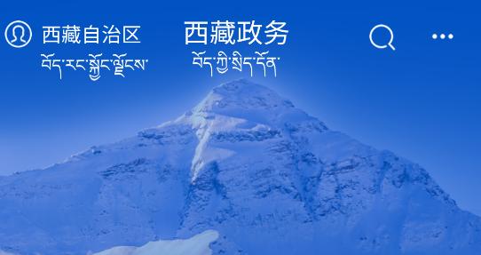 藏易通app(西藏政务) 藏易通app(西藏政务)