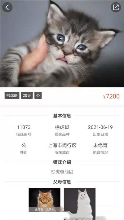 家连猫舍app截图2