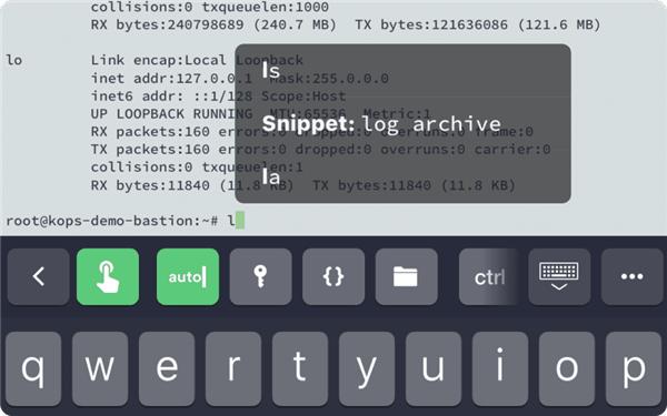 Termius安卓汉化版