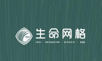 生命网格app 生命网格app