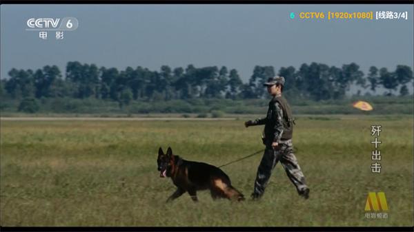 小狐狸星辰仓TV版
