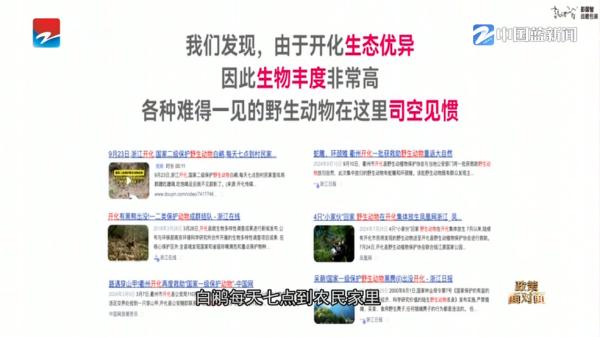 IPv6高级版电视直播