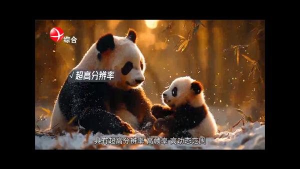 云雾TV电视安卓版