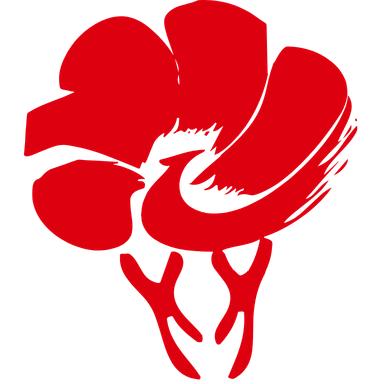 放新办app最新版本