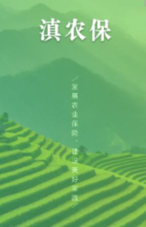 滇农保app下载最新版本