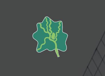 新津融媒app 新津融媒app