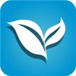 叶子TV电视手机版