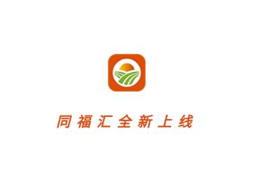 同福汇app下载安卓版 同福汇app下载安卓版