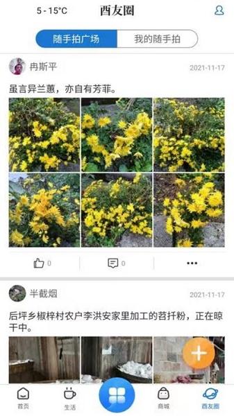 酉州城事APP下载安装