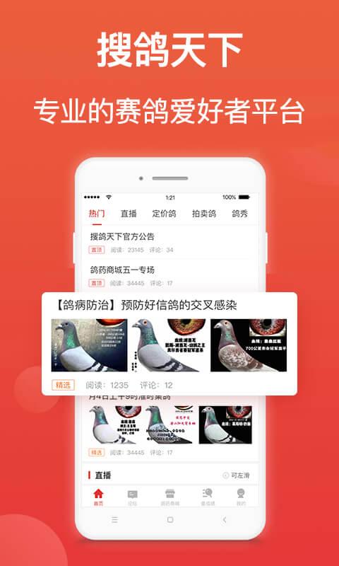 赛鸽头条下载安装