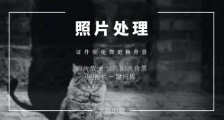 免费证件照制作神器