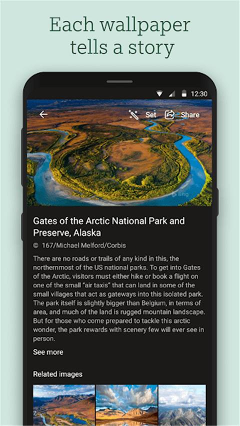 必应壁纸app下载截图3