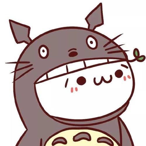 沐岑国体直装(龙猫ESP)