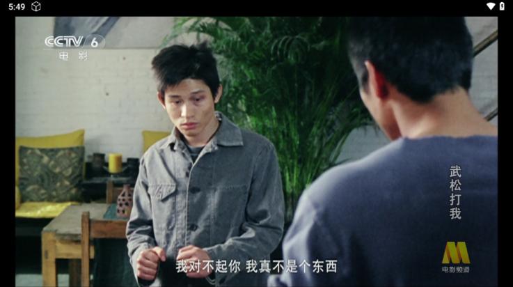 丹丹影视tv版截图3