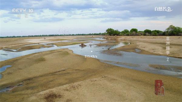 饭太香tv安卓版