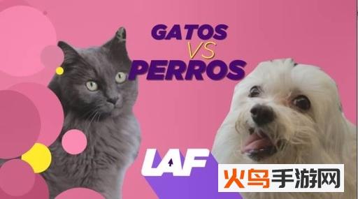 猫言狗语翻译app