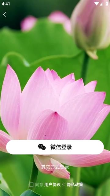 金湖论坛app下载安装