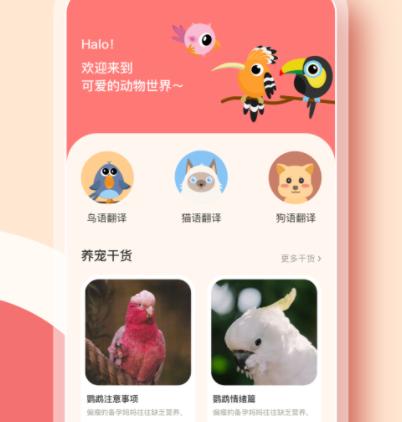 鹦鹉翻译器app 鹦鹉翻译器app