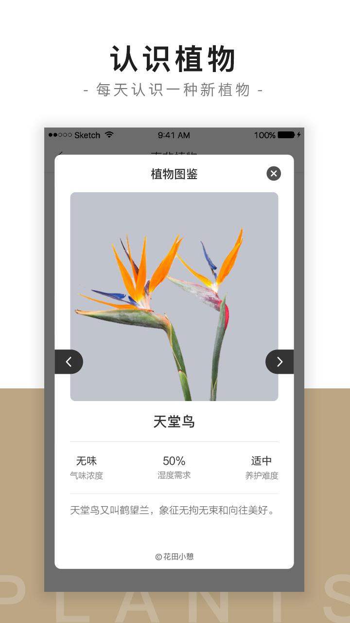 花田小憩app截图3