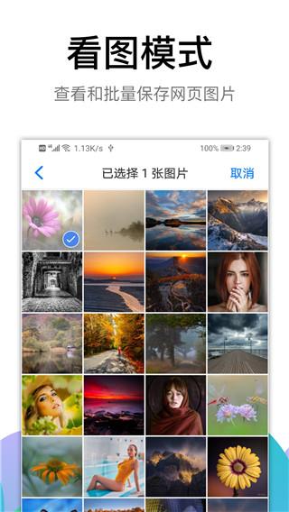 BL黑狮浏览器APP