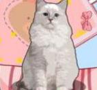 解压收纳神器 1.0安卓版