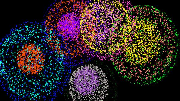 烟火的季节游戏 1.2.2安卓版