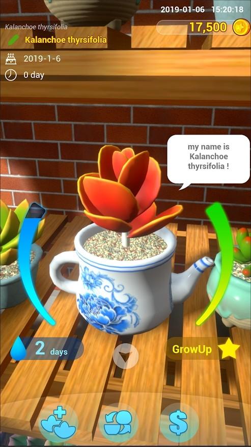 BalconyGarden(阳台花园手游) 1.2最新版