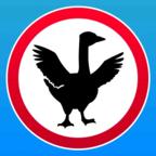 捣蛋鹅模拟器真正版 1.1最新版